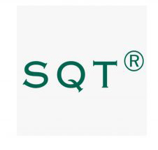 SQt Logo